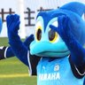 ばっきー💙💛 profil fotoğrafı