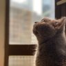 Esup Gam profil fotoğrafı