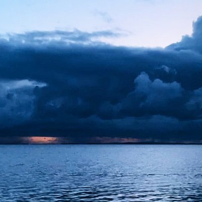wwxwashere's profile picture