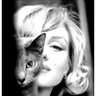 Hailey's profile picture