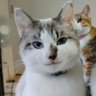 made make profil fotoğrafı