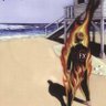Guachi_XVII profil fotoğrafı