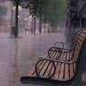 hasseb live's profile picture