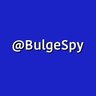 BulgeSpy profil fotoğrafı