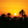 Фото профиля جمعان الذبياني