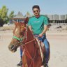 Nisreen Al khdour's profile picture