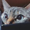 TMG-LU's profile picture