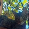pantaleon profil fotoğrafı