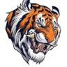 شرين's profile picture