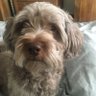 Profilbild von suewoby