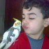 Aziz Amr's profile picture