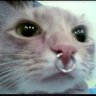 Térry 🌷🌹🌸 profil fotoğrafı