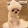 wikenation's profile picture