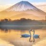 Profilbild von 诗酒田园