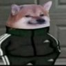 davo's profile picture