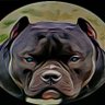 crypto₿ullys profil fotoğrafı