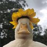 Ritso profil fotoğrafı