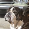 Mrstupes's profile picture
