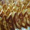 Gyoza-ohji profil fotoğrafı