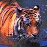 Фото профиля Leo