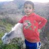 حماده المصرى's profile picture