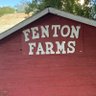 Profilbild von Shawn Fenton
