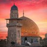 Фото профиля Fadi Khaled