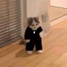 Gato Cursed ඞා 的头像