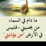 Фото профиля محمد