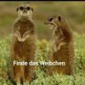 Profilbild von Christian