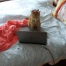 eliska zigova's profile picture