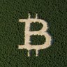 Bitfont 的头像