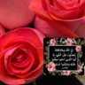 ◥الريمـْـْْـْ◤ 的头像