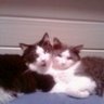 Profilbild von Oscar&Felix