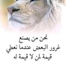 ابودياب's profile picture
