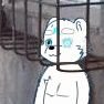 冰淇淋和奶茶做的熊🐻❄'s profile picture