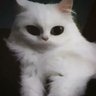 Profilbild von Eager99