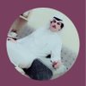 هذال الشلال 的头像
