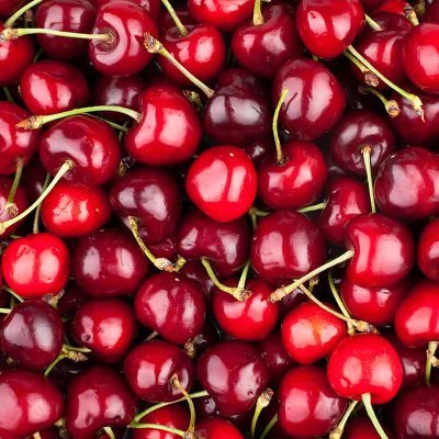Nj.E. TrešnjaVišnja🇲🇪 ❤️'s profile picture