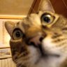 Celia C's profile picture
