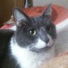 Profilbild von =^.^= Ping =^.^=