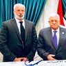 🇵🇸🇵🇸🇵🇸Thaer Abubaker د.ثائر أبوبكر profil fotoğrafı