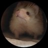 Profilbild von ヘッジーhedgeyyy