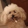 Profilbild von kocca mia..
