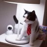 oatzaᅠ profil fotoğrafı