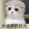 Profilbild von 我上这个网就是为了看男菩萨