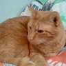 Profilbild von Joey3264