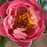 Фото профиля Esther Roest