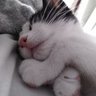 Jovinel Anna profil fotoğrafı