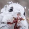 りりぃちゃん🐭🕊️🌾🕊️ 的头像